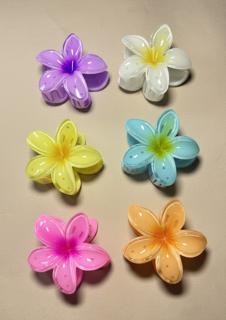 Set Of 6 Claw Hair clips.