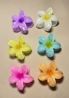 Set of 6 Big Size Hair Clips . Maya Luxe