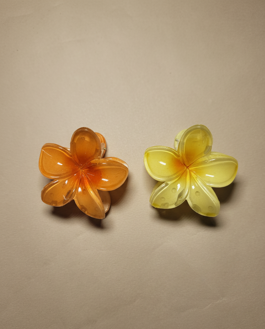 Set Of 2 Small Size Claw Hair Clips. Maya Luxe .