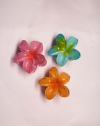 Set of 3 Small Size Claw Clips . Maya Luxe.