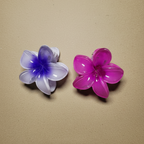 Set Of 2 Small Size Claw Hair Clips. Maya Luxe.