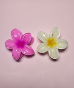 Set Of 2 Big Size Claw Hair Clips. Maya Luxe.