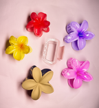 Combo of 5 Hair Clips. Maya Luxe.