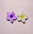 Set Of 2 Big Size Claw Hair Clips. Maya Luxe.