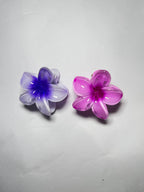 Set Of 2 Small Size Claw Hair Clips. Maya Luxe.