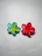 Set Of 2 Small Size Claw Hair Clips. Maya Luxe.