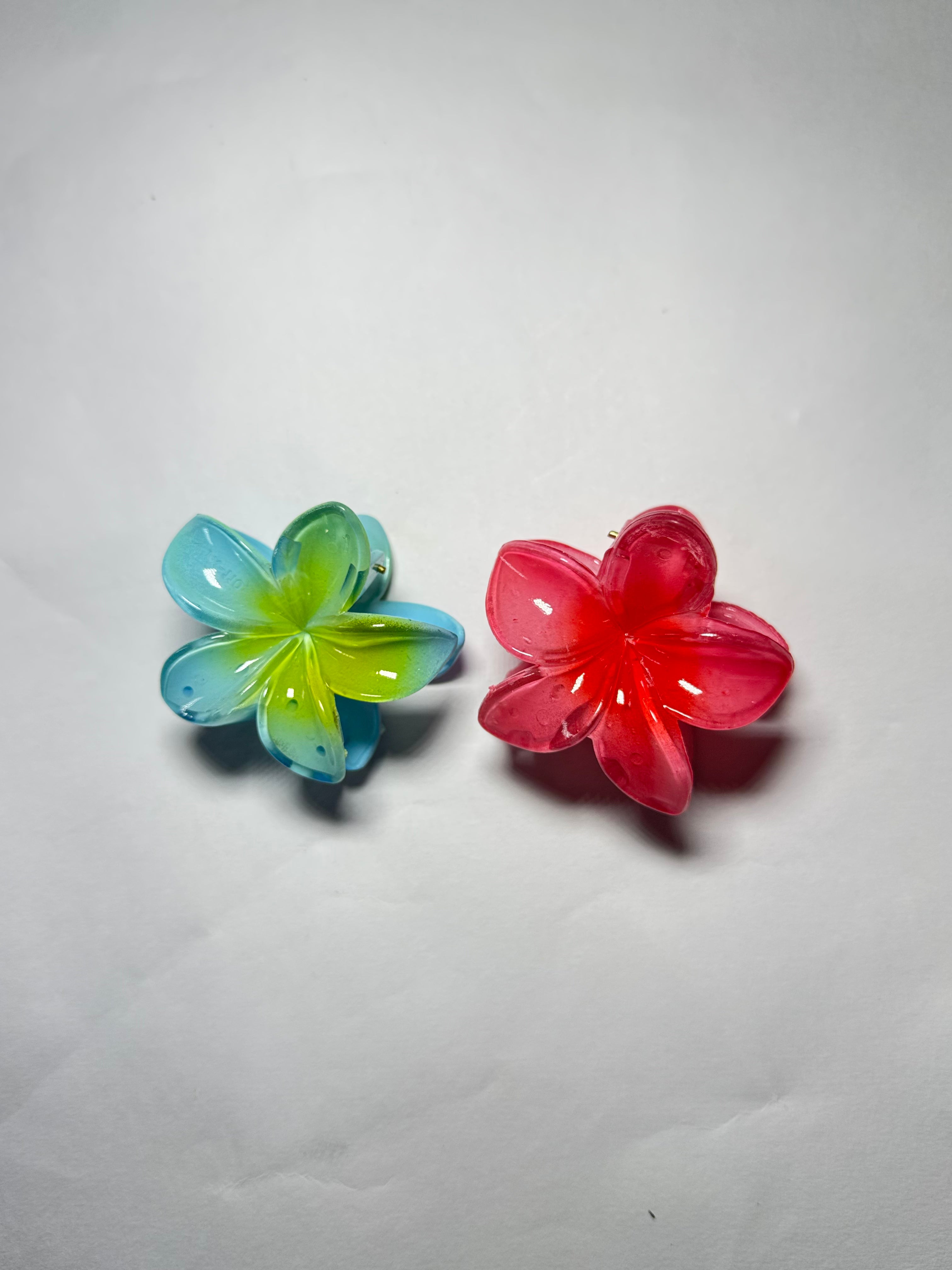 Set Of 2 Small Size Claw Hair Clips. Maya Luxe.